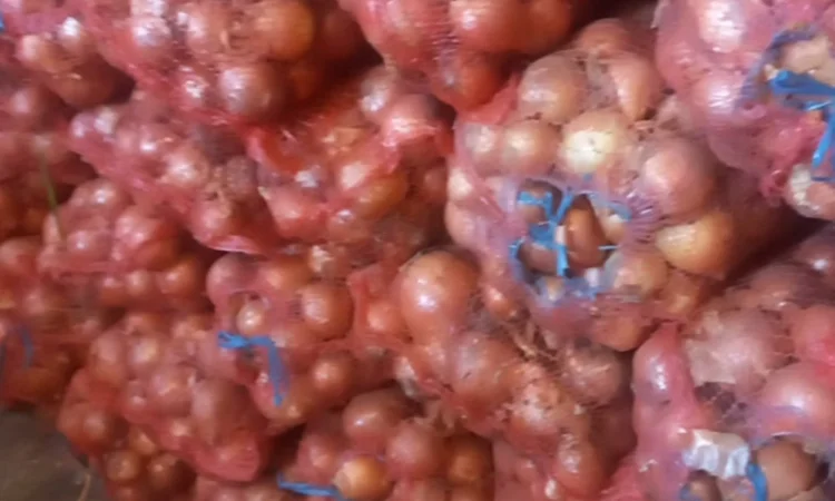 Продажа Лук сорт медуза и мелори - фото № 2