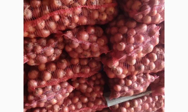 Продажа Лук сорт медуза и мелори - фото № 5