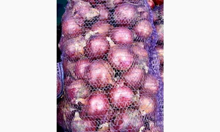 Цибуля червона - продажа - фото № 1