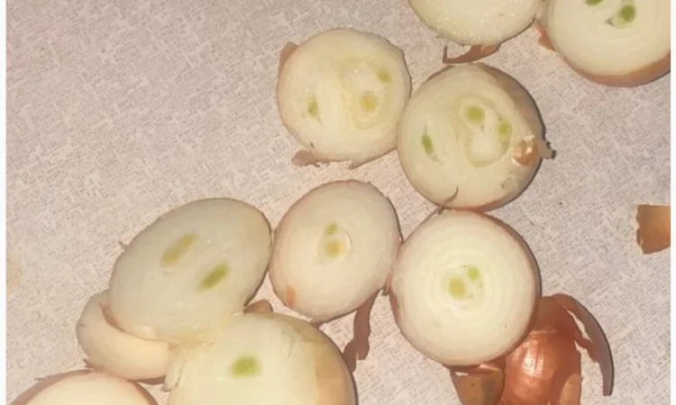 Продаю лук на перо без дефектів - фото № 1