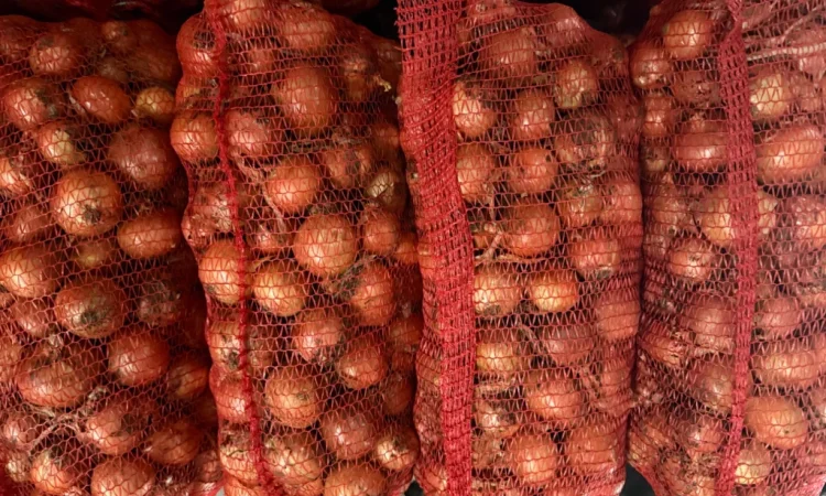 Продаю цибулю нал оптом - фото № 1