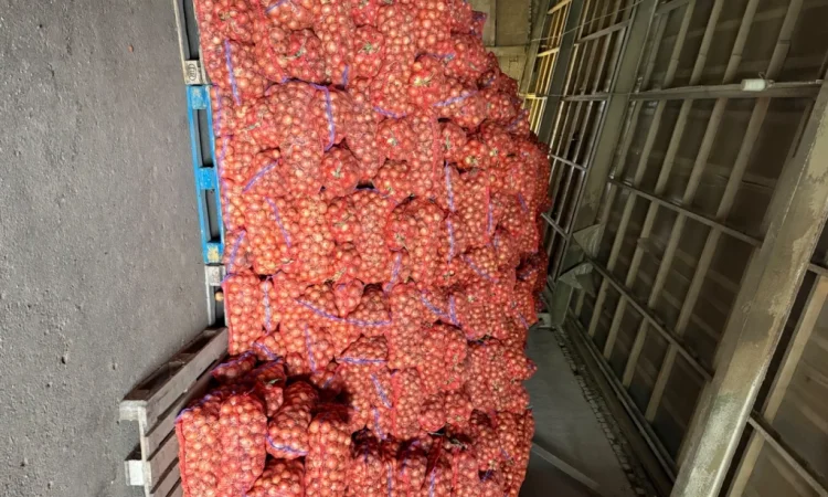 Продаю цибулю нал оптом - фото № 2