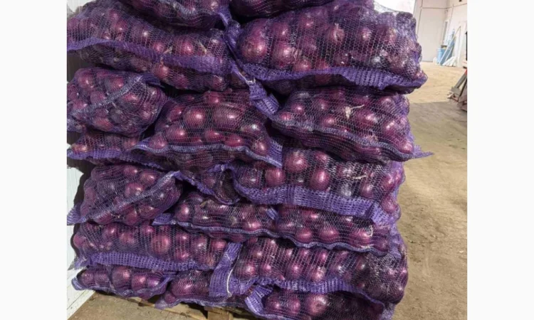 Продається лук марс синий оптом - фото № 1