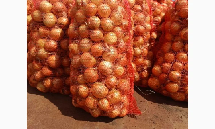 Продажа цибулі в Красивському - фото № 1