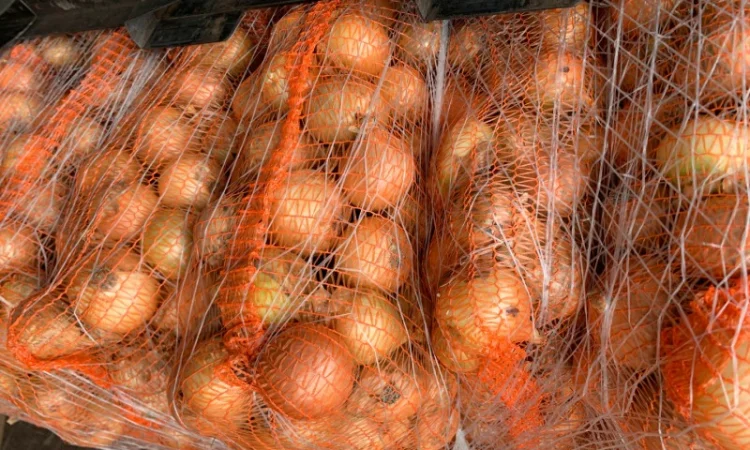 Лук оптом з Польщі - фото № 1