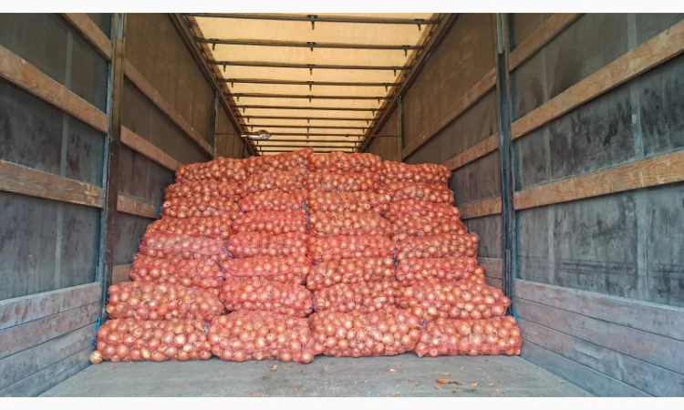 Продаж цибулі Медуза, ціна 3,5грн - фото № 1