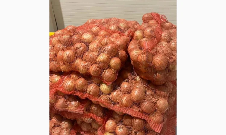 Якісна ріпчаста цибуля на продаж - фото № 1