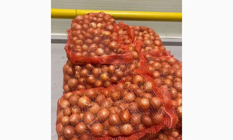 Якісна ріпчаста цибуля на продаж - фото № 3