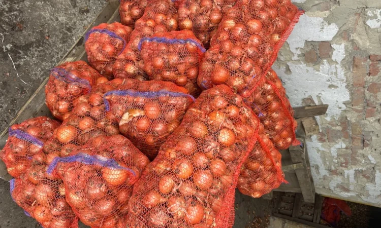 Продаж моркви та цибулі у Харкові - фото № 1