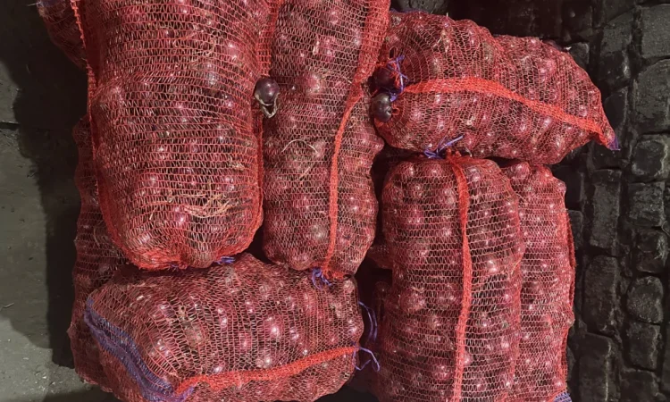 Продаж моркви та цибулі у Харкові - фото № 4