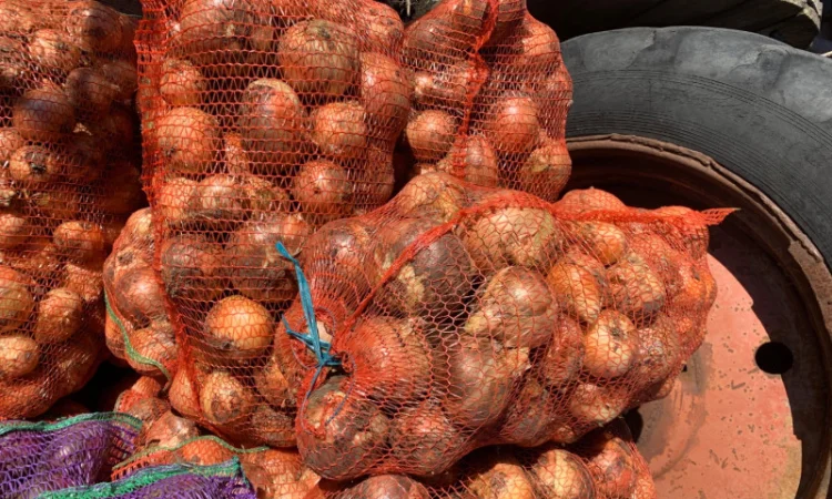 Цибуля крупна на продажу за оптовими цінами - фото № 1