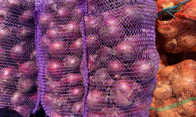 Продаж Цибуля синя оптом від 500 кг - фото № 1