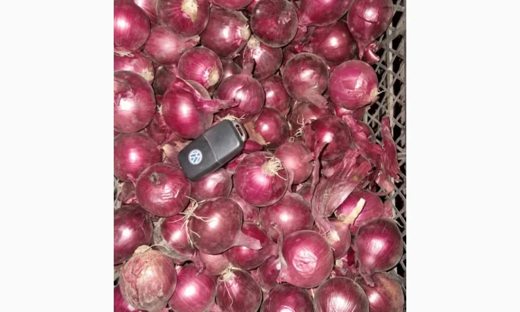 Продажа цибулі синьої марс Фракція 3-5см - фото № 1