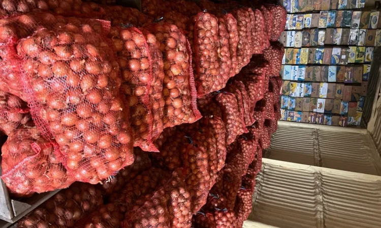 Цибуля Манас, Медуза на продаж - фото № 1