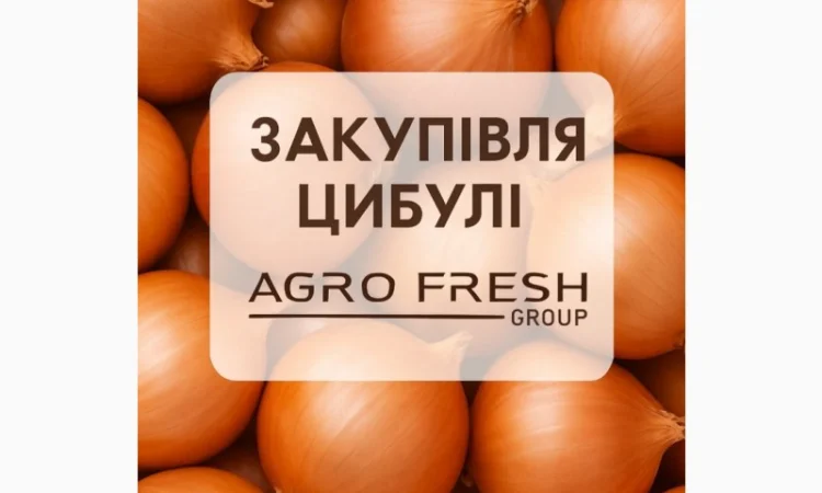 Закупівля цибулі на постійній основі - фото № 1