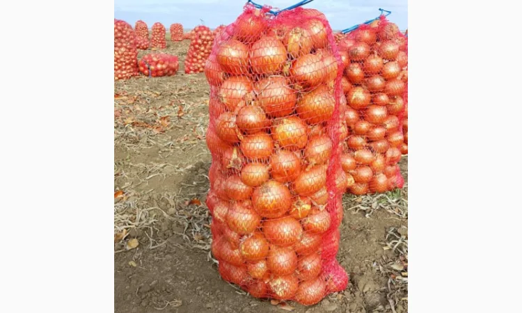 Продаєм лук сорту Дерек F1. Без передоплати. - фото № 2