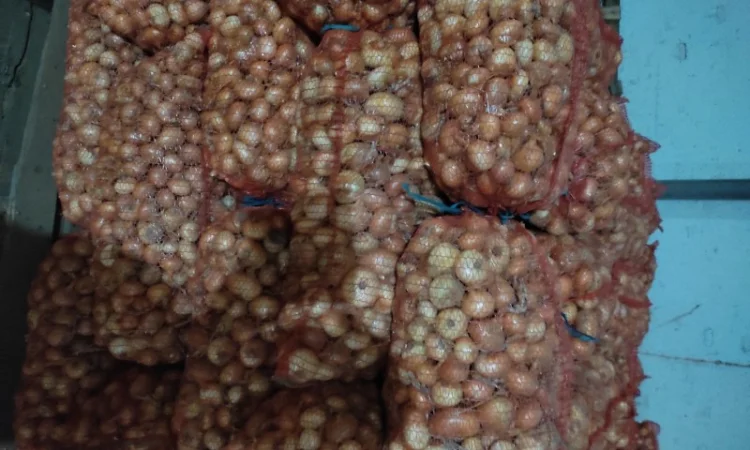 Штутгарт на перо для продажу - фото № 1