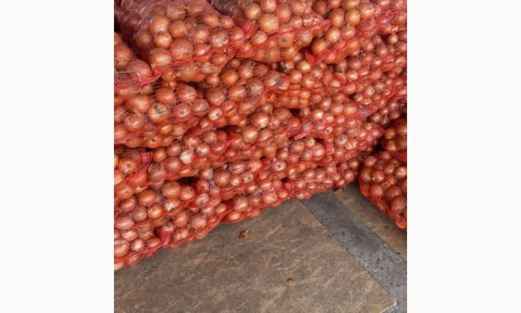 Продается цибуля Медуза, калібр 5+ - фото № 3