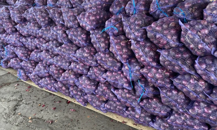 Продаю червону цибулю калібр 5+ - фото № 1