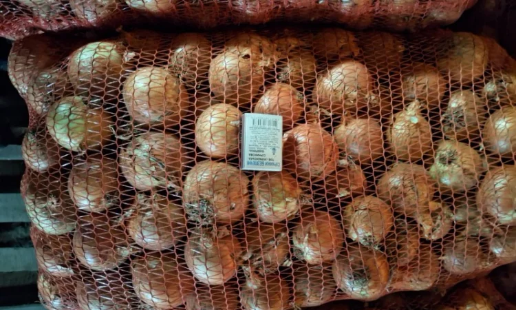 Продажа Цибуля титаниум - фото № 1