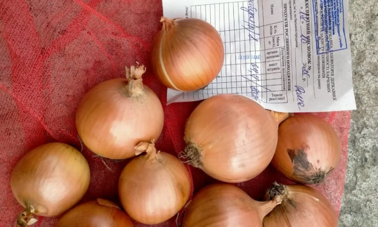 Лук репчатый с низким содержанием нитратов - фото № 1