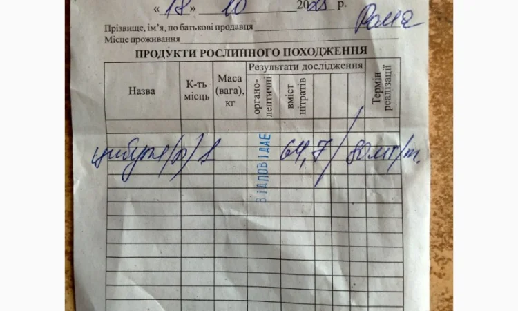 Лук репчатый с низким содержанием нитратов - фото № 5