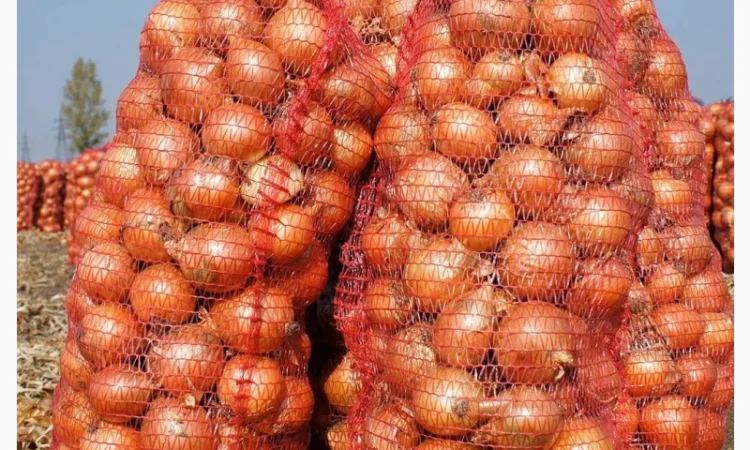 Продаж лука сорту Медуза оптом - фото № 1