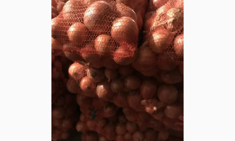 Пропоную цибулю сорт Штутгарт - фото № 1