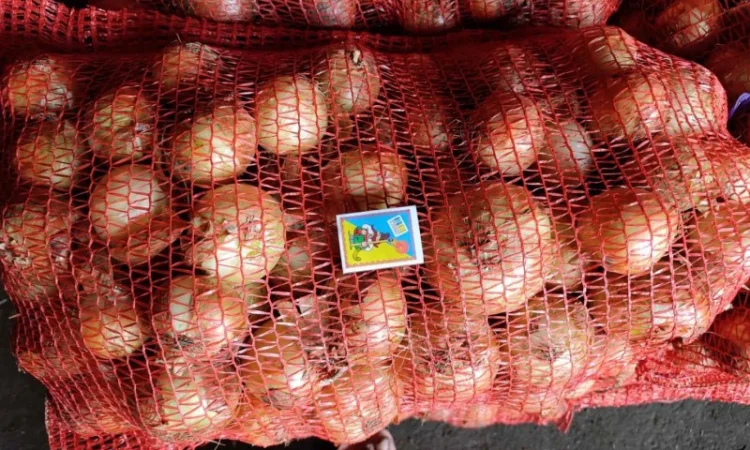 Продаж лука цибулі в Умань - фото № 1