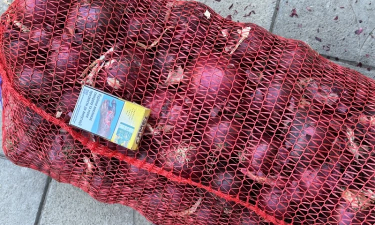 Цибуля червона (лук синій) на продажу - фото № 1