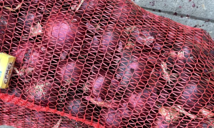 Цибуля червона (лук синій) на продажу - фото № 2