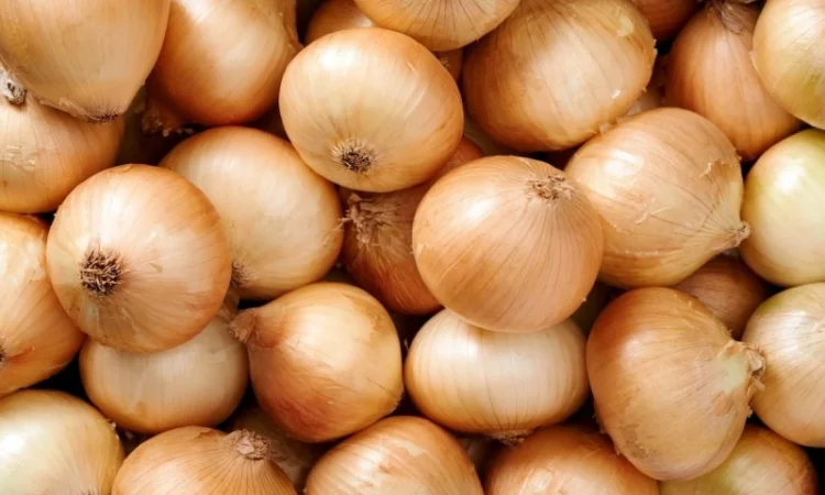 Лук без химии - фото № 1