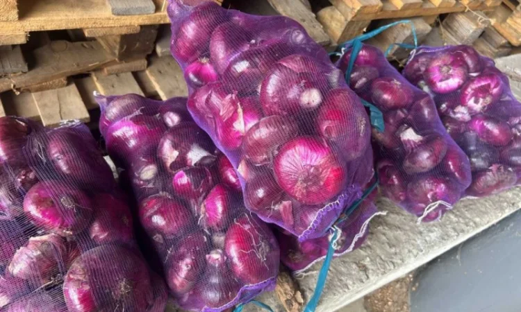 Ялтинский лук на продажу - фото № 1