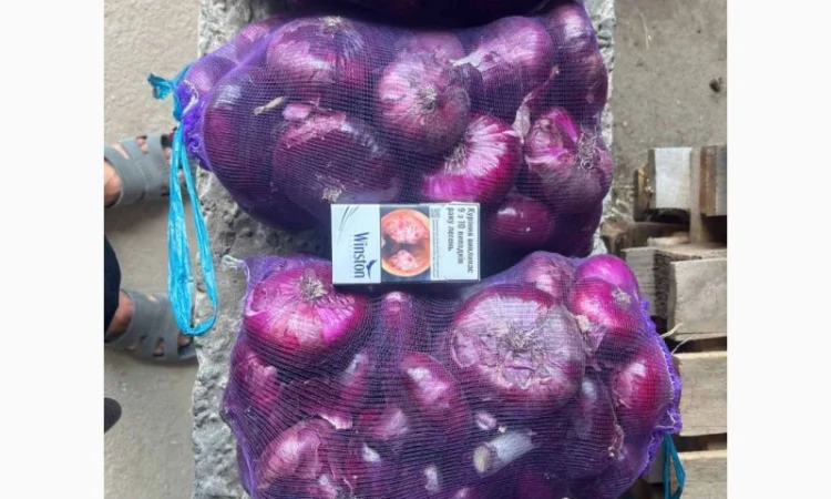 Ялтинский лук на продажу - фото № 2