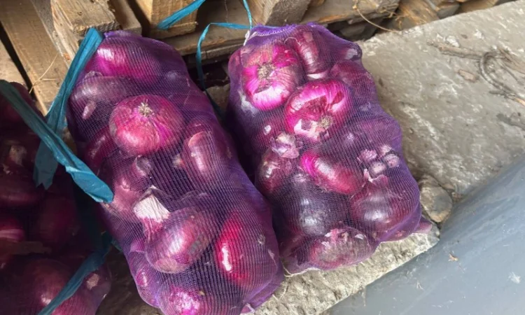 Ялтинский лук на продажу - фото № 3