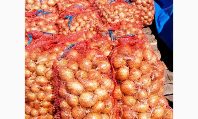 Продаж цибулі 1-2 сорт - фото № 1