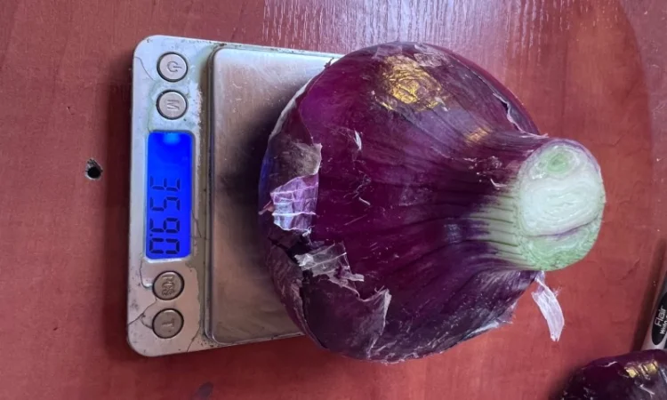 Продаж ялтинської цибулі - фото № 2