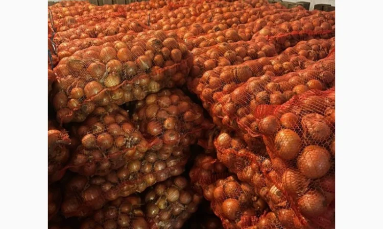 Фасованный лук Медуза, опт от 1 тонны - фото № 1