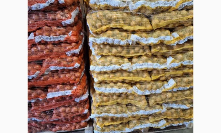 Прямі поставки цибулі з Польщі - фото № 4