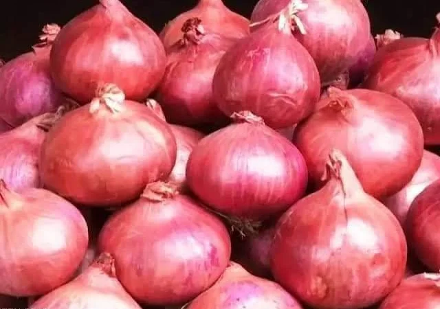 Цибуля та часник з Египту на продаж - фото № 1