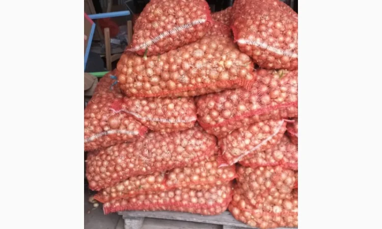 Куплю цибулю халцидон - фото № 3