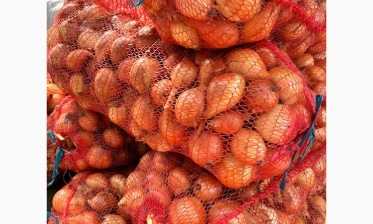 Цибуля на продаж - фото № 1