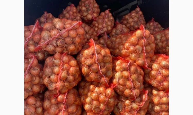 Продаж цибулі Свіфт та Фабула - фото № 1