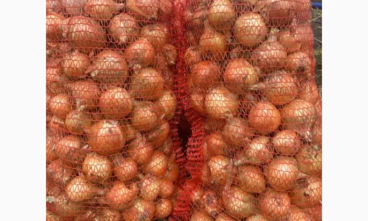 Продаж цибулі Свіфт та Фабула - фото № 11