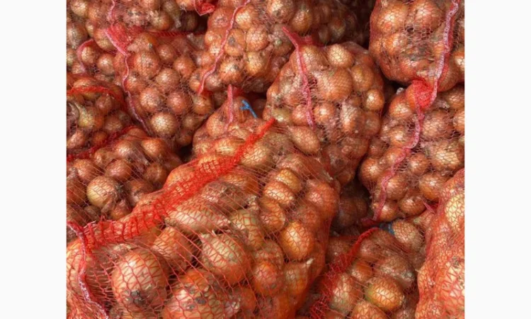 Продаж цибулі Свіфт та Фабула - фото № 5