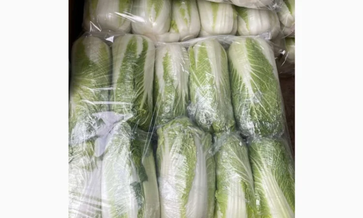 Покупка Пекінської капусти на постійній основі - фото № 3