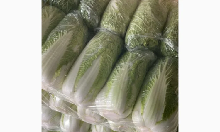 Покупка Пекінської капусти на постійній основі - фото № 5