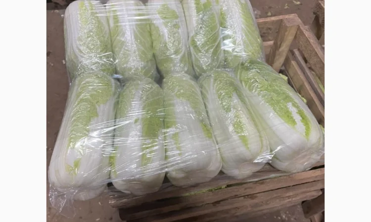 Покупка Пекінської капусти на постійній основі - фото № 7