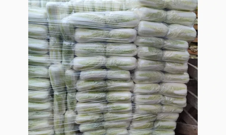 Покупка Пекінської капусти на постійній основі - фото № 8