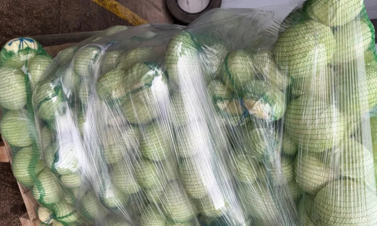 Капуста сорт Агресор, 25 кг, гуртом - фото № 3